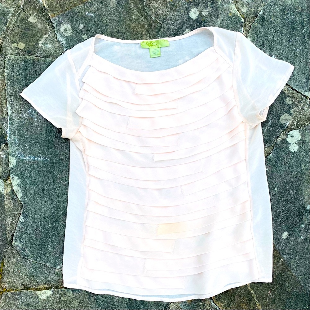 Blush Pink Chiffon Sheer Ruffled Blouse Top! ✨